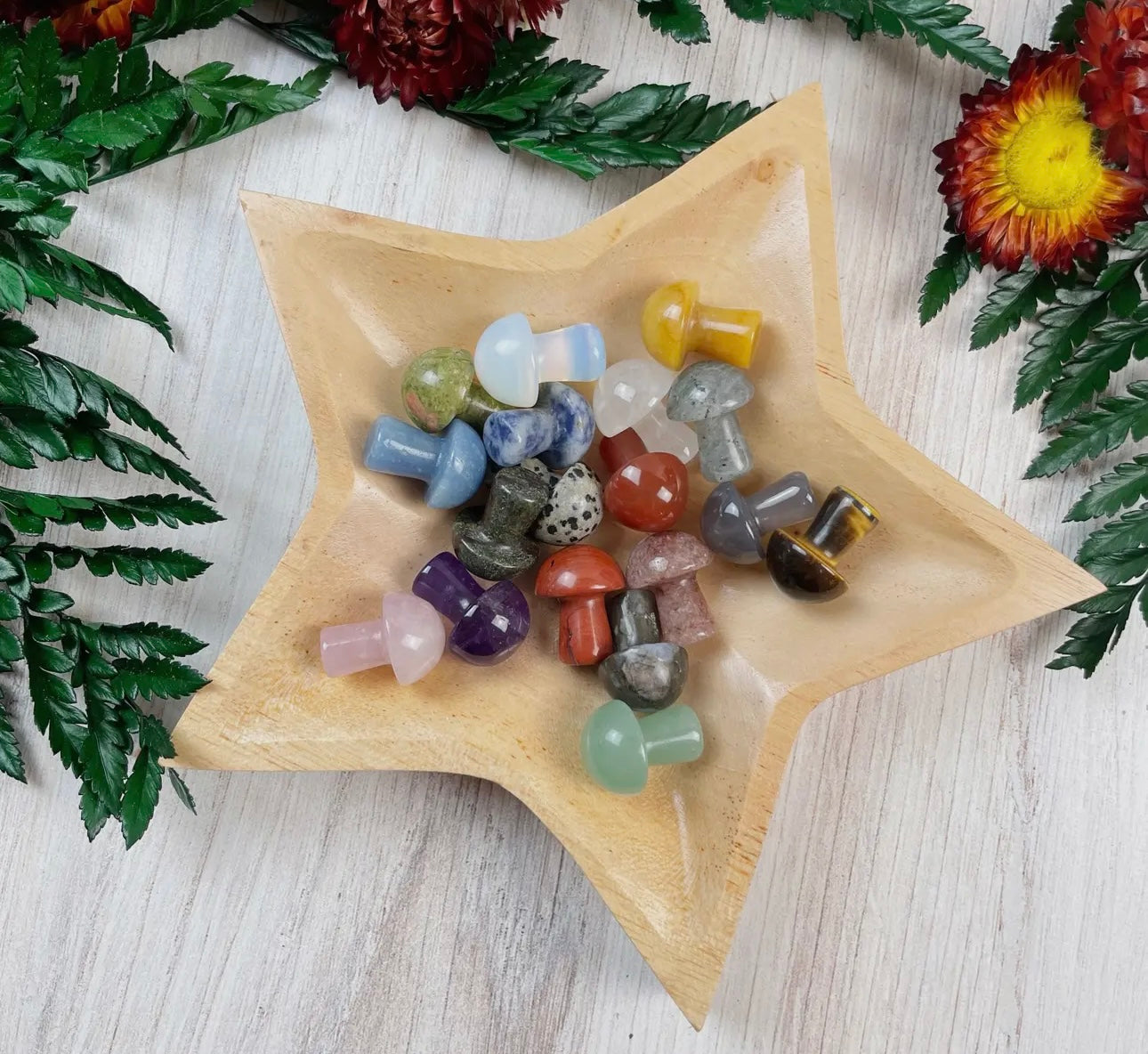 Mini Mushroom Stones