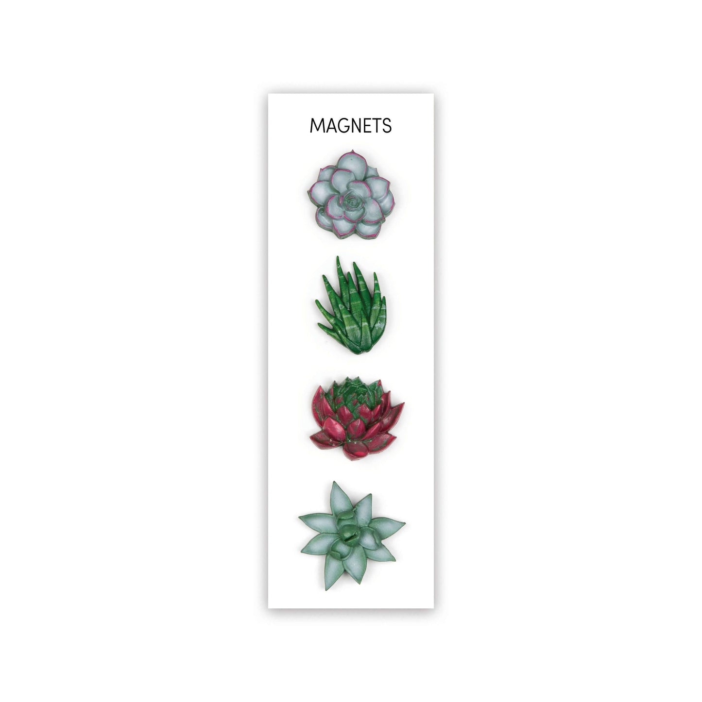 Succulent magnets