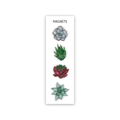 Succulent magnets