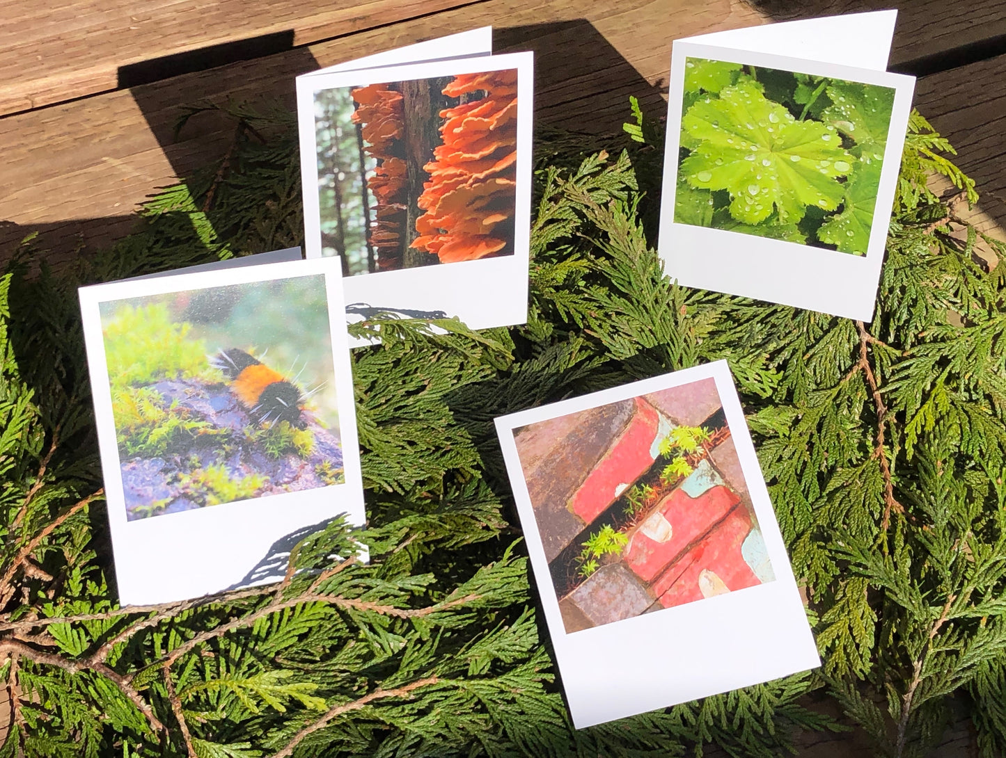Glimpses of Ketchikan Notecards