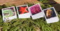 Glimpses of Ketchikan Notecards