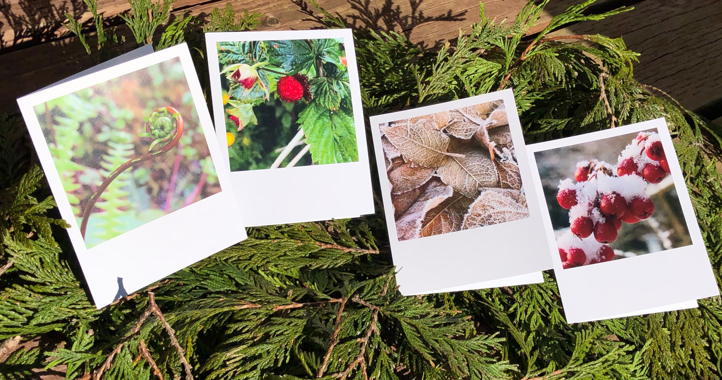 Glimpses of Ketchikan Notecards