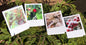 Glimpses of Ketchikan Notecards